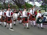 Jacaranda Procession 2008