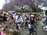 Jacaranda Procession 2008