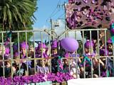 Jacaranda Procession 2009