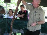 Snake Handler - Grafton Show 2013