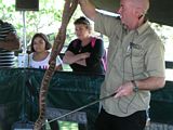 Snake Handler - Grafton Show 2013