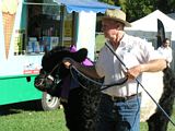 Grand Parade - Grafton Show 2013