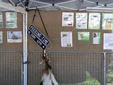 Animal Nursery - Goat eating sign - Grafton Show 2013